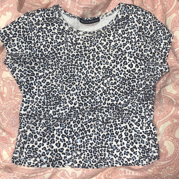 Brandy Melville Tops Brandy Melville Blue Ashlyn Cheetah Print Crop Top Poshmark